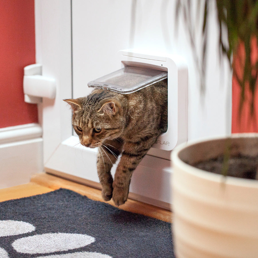 SureFlap Microchip Cat Door – White Small