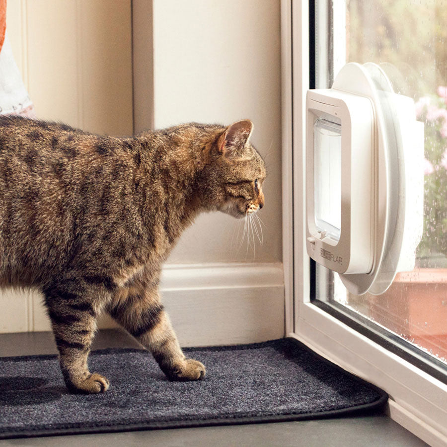 SureFlap Microchip Cat Door – White Small
