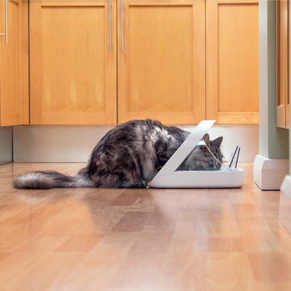 SureFeed Microchip Pet Feeder for Cats & Small Dogs – White